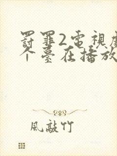 罚罪2电视剧哪个台在播放