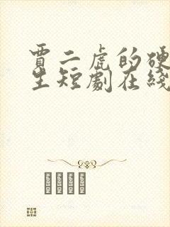 贾二虎的硬核人生短剧在线观看