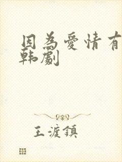 因为爱情有多美韩剧