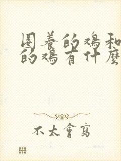 圈养的鸡和散养的鸡有什么区别