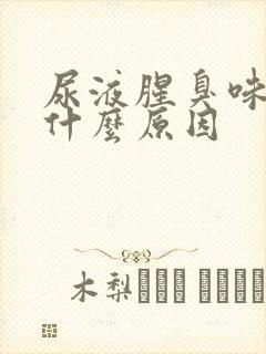 尿液腥臭味重是什么原因封面