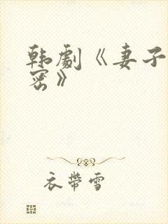 韩剧《妻子的秘密》