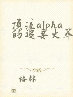 顶流alpha的追妻火葬场 蔷薇照雪