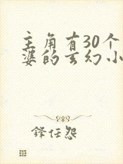 主角有30个老婆的玄幻小说