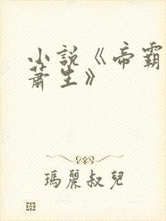 小说《帝霸厌笔萧生》