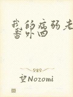 我的病弱老婆 番外四