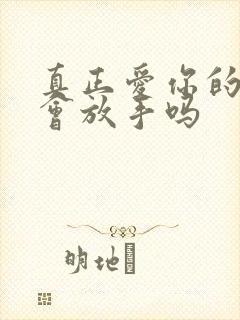 真正爱你的男人会放手吗封面