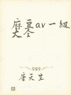 麻豆av一级片大全封面