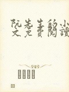 阮先生的小说全文免费阅读无弹窗