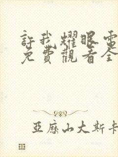 许我耀眼电视剧免费观看全部15集