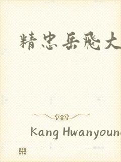 精忠岳飞大结局封面