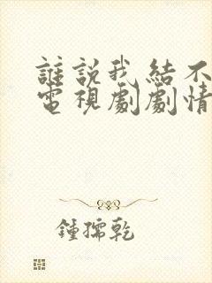 谁说我结不了婚电视剧剧情