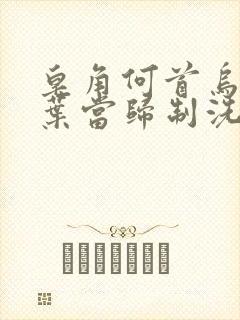 皂角何首乌侧柏叶当归制洗发水