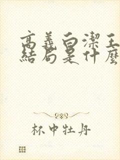 高义白洁王申大结局是什么封面