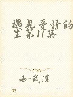 遇见爱情的利先生第11集