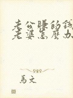 老公赚的钱不给老婆怎么办