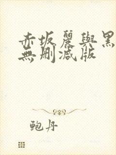 赤坂丽与黑人的无删减版