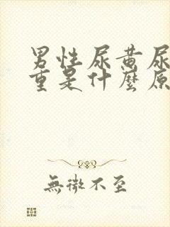 男性尿黄尿骚味重是什么原因