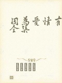 因为爱情有多美全集封面