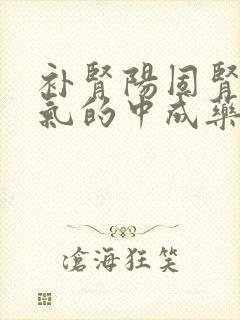 补肾阳固肾精益气的中成药