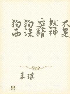 狗狗突然不吃东西没精神是怎么了