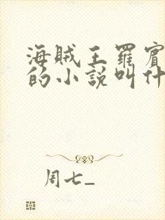 海贼王罗宾堕落的小说叫什么封面