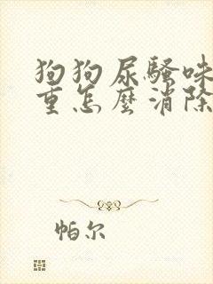 狗狗尿骚味道很重怎么消除小妙招