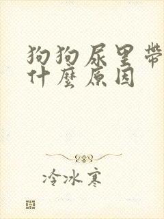 狗狗尿里带血是什么原因封面