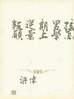 叛逆期男孩子不愿意上学怎么办封面