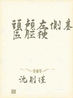 头颅左侧基底节区腔梗