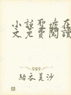 小说圣墟在线全文免费阅读