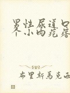 男性尿道口长了个小肉疙瘩不痛不痒封面