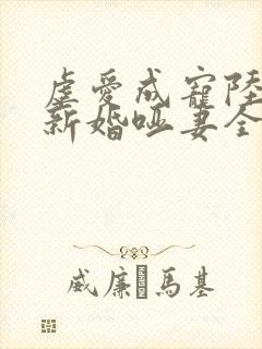 虐爱成宠陆总的新婚哑妻全集
