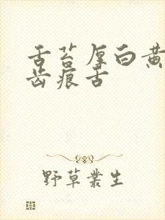 舌苔厚白黄腻有齿痕舌