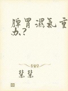 脾胃湿气重怎么办?封面