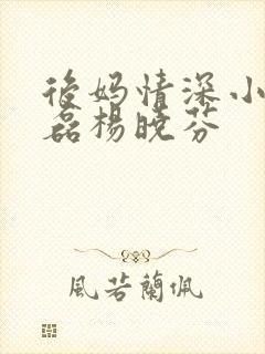 后妈情深小说王磊杨晓芬