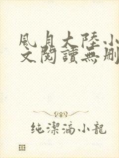 风月大陆小说全文阅读无删减