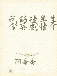 我的后半生剧情分集剧情介绍封面