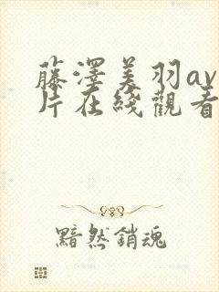 藤泽美羽av大片在线观看