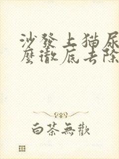 沙发上猫尿味怎么彻底去除