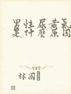 男性尿黄气味大是什么原因引起的