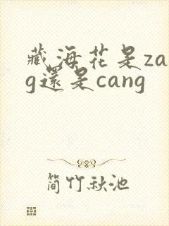藏海花是zang还是cang