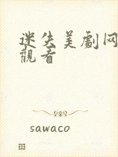 迷失美剧网在线观看封面