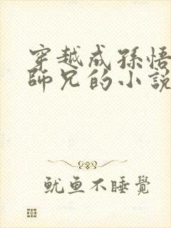 穿越成孙悟空大师兄的小说