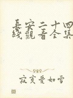 长安二十四计在线观看全集免费封面