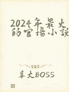 2024年最火的官场小说有哪些封面