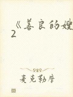 《善良的嫂子》2封面