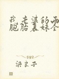 我老婆的两个双胞胎表妹全文