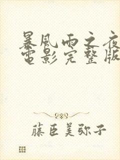 暴风雨之夜日本电影完整版封面