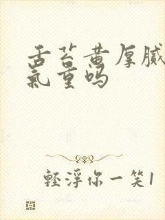 舌苔黄厚腻是湿气重吗